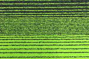 Ковровая плитка Tecsom Prima Gradual Green 112600505 00018 фото  | FLOORDEALER